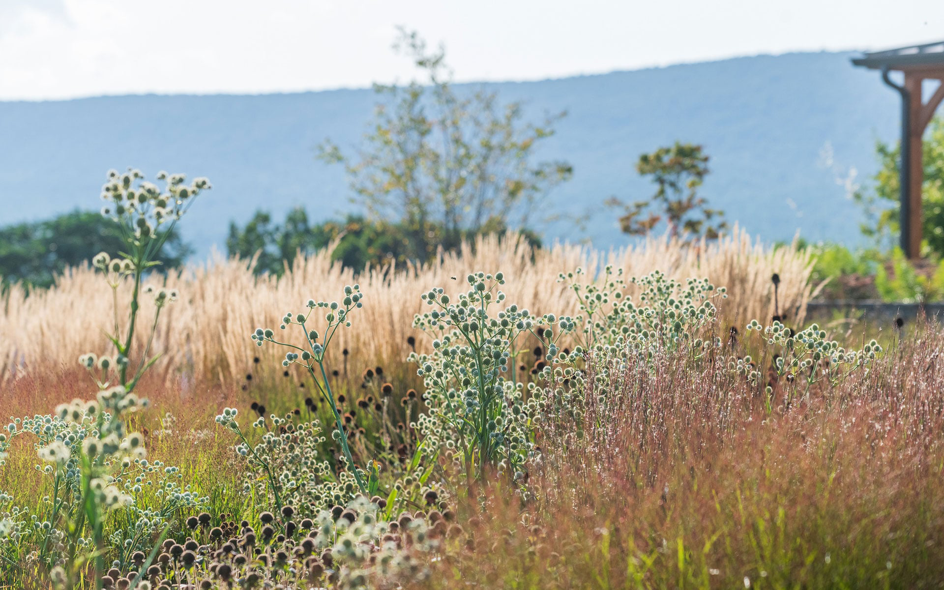 Transforming landscapes in the Mid-Atlantic region for 30 years